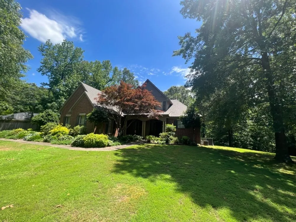 Slide of Atop Of The Ladder