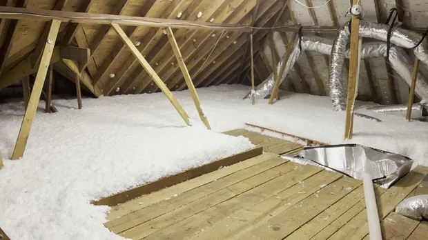 Slide of Attic Buddies