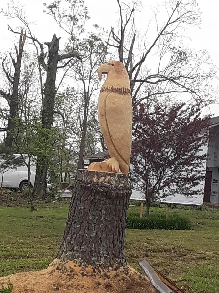 Slide of Audil Professional Tree Master