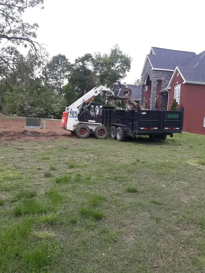 Slide of Audil Professional Tree Master