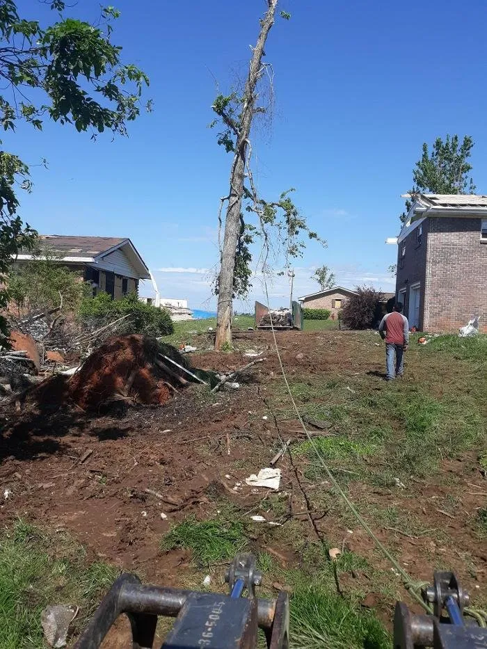 Slide of Audil Professional Tree Master