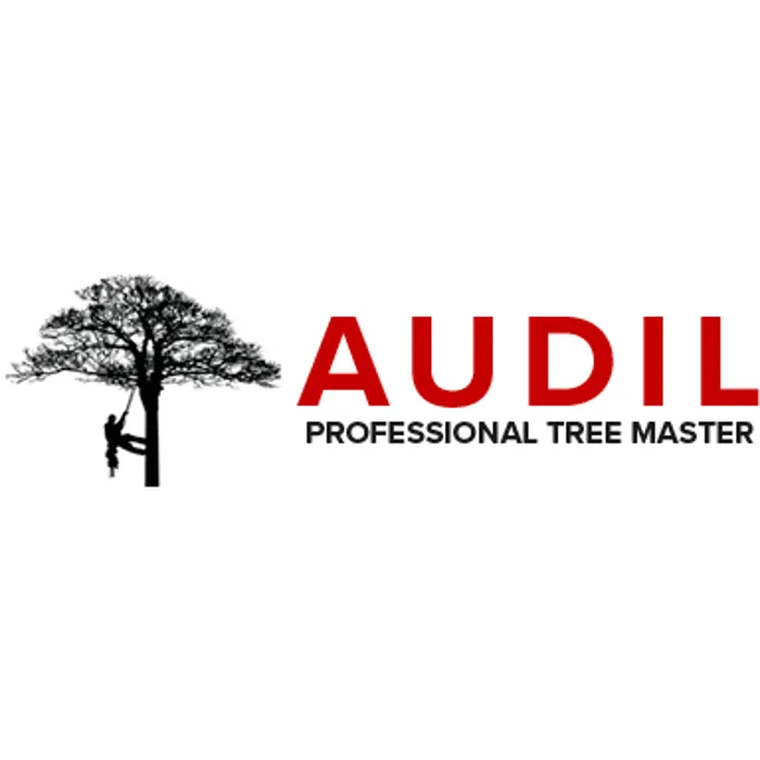 Slide of Audil Professional Tree Master