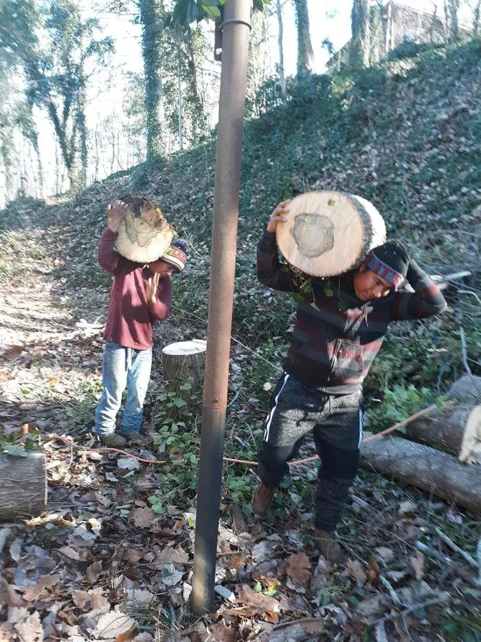 Slide of Audil Professional Tree Master