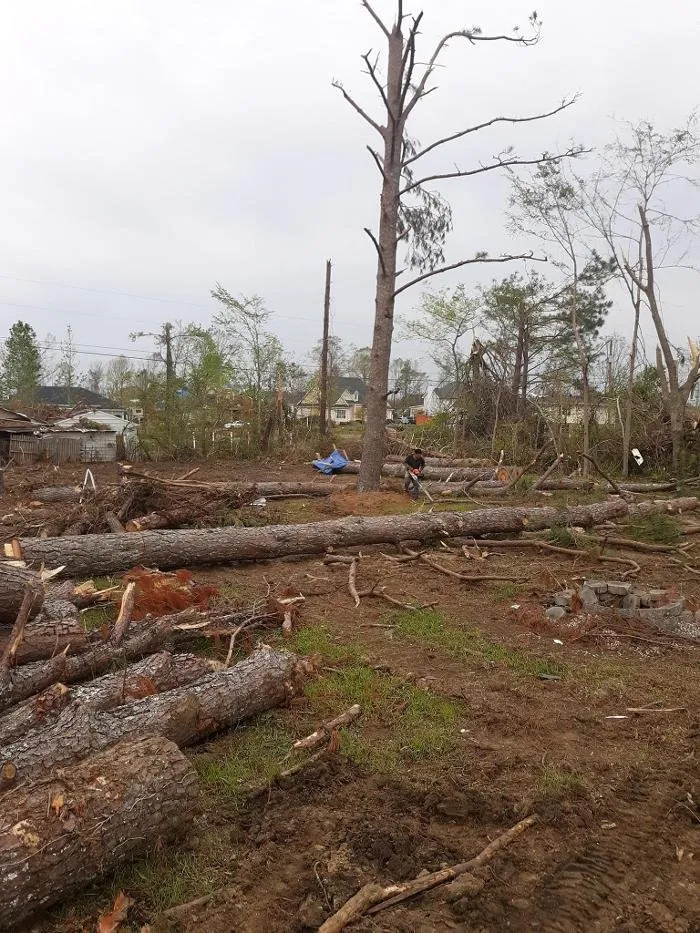 Slide of Audil Professional Tree Master