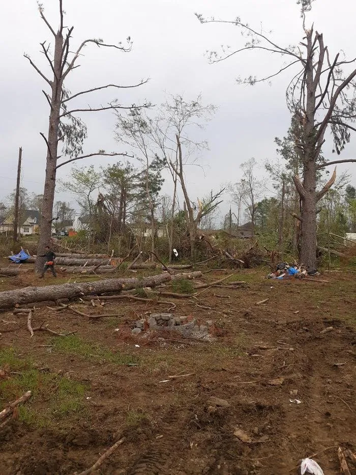 Slide of Audil Professional Tree Master