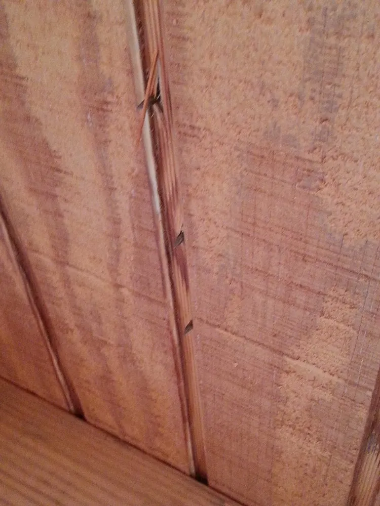 Slide of Augustine Roofing