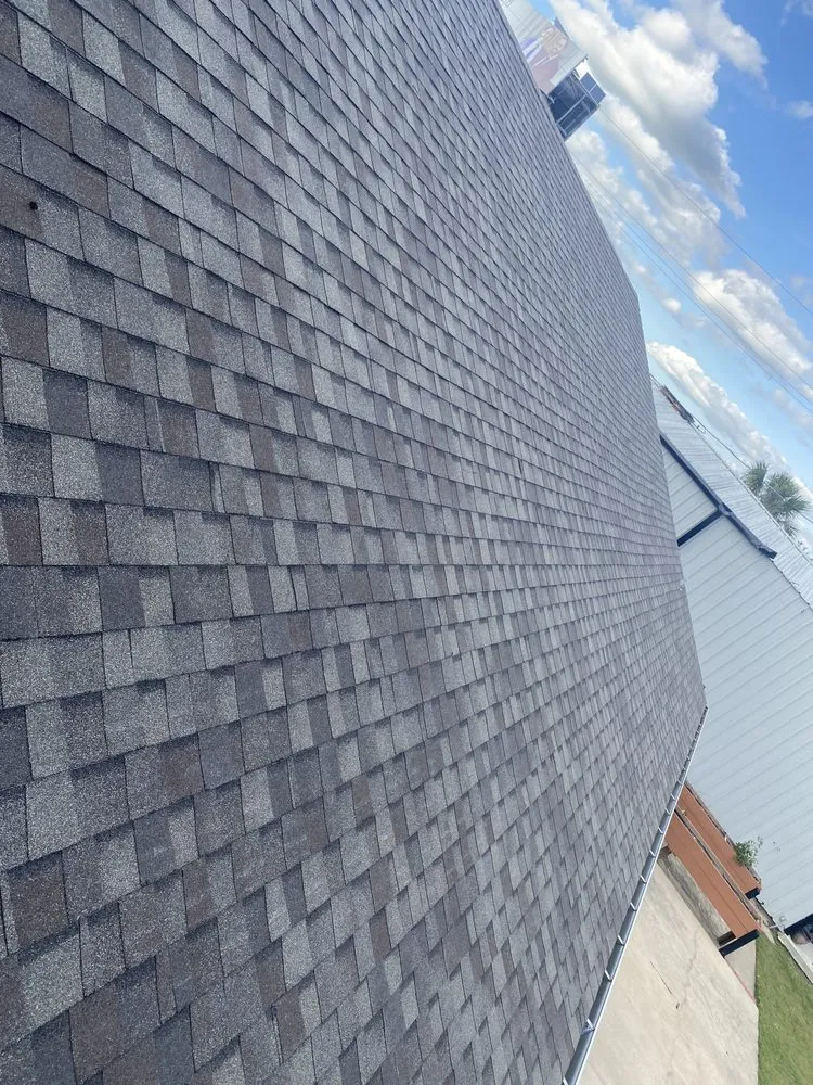 Slide of Auroras Roo