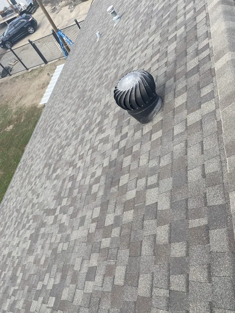 Slide of Auroras Roo