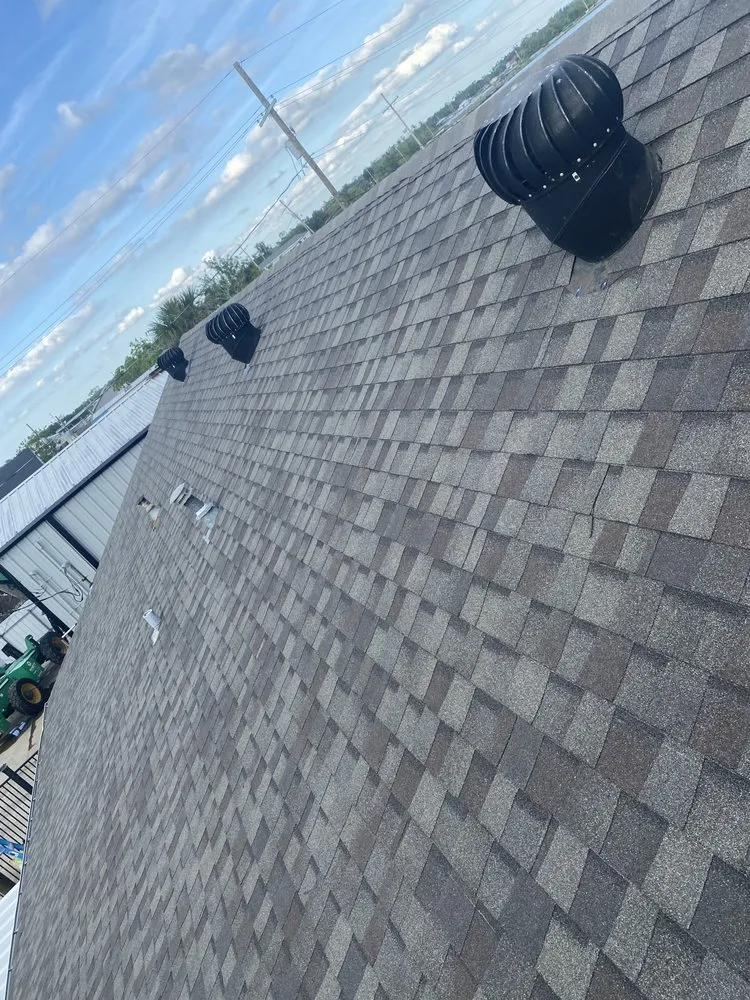 Slide of Auroras Roo