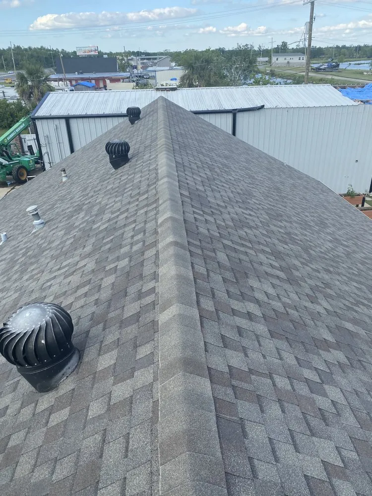 Slide of Auroras Roo