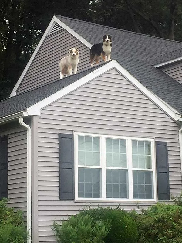 Professional roof inspection with free inspection across Hermitage, TN - Aussie Roofing & Exteriors