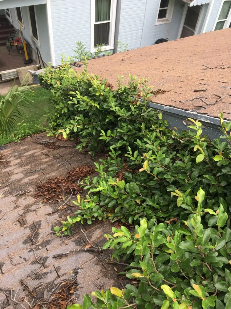 Slide of Austin Roofing Repairs