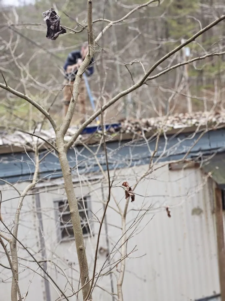 Slide of Austin’s Handyman Services