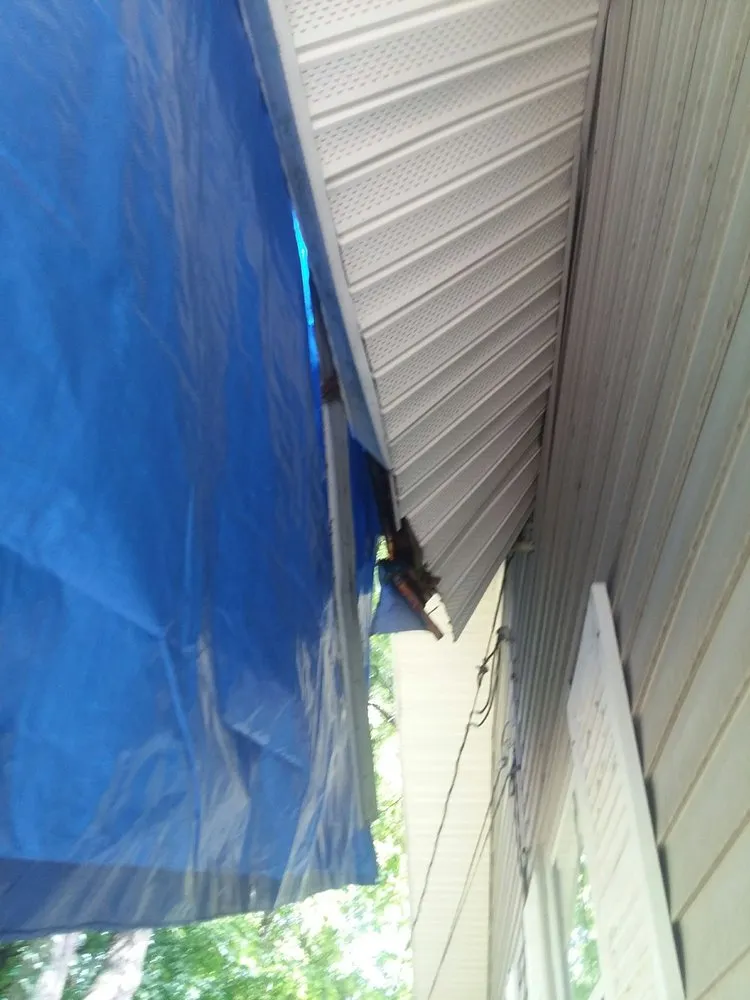 Slide of Australian Shepherd