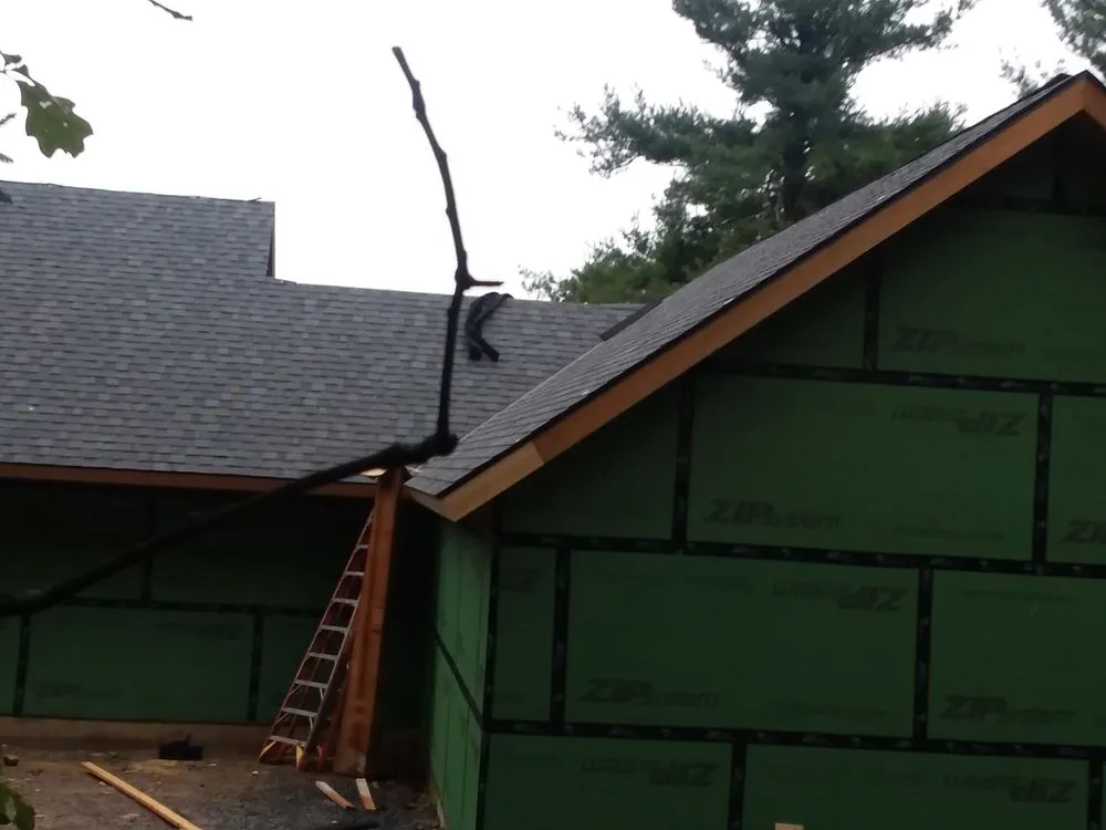 Slide of Australian Shepherd