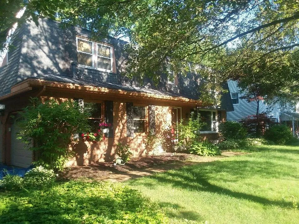 Slide of Australian Shepherd