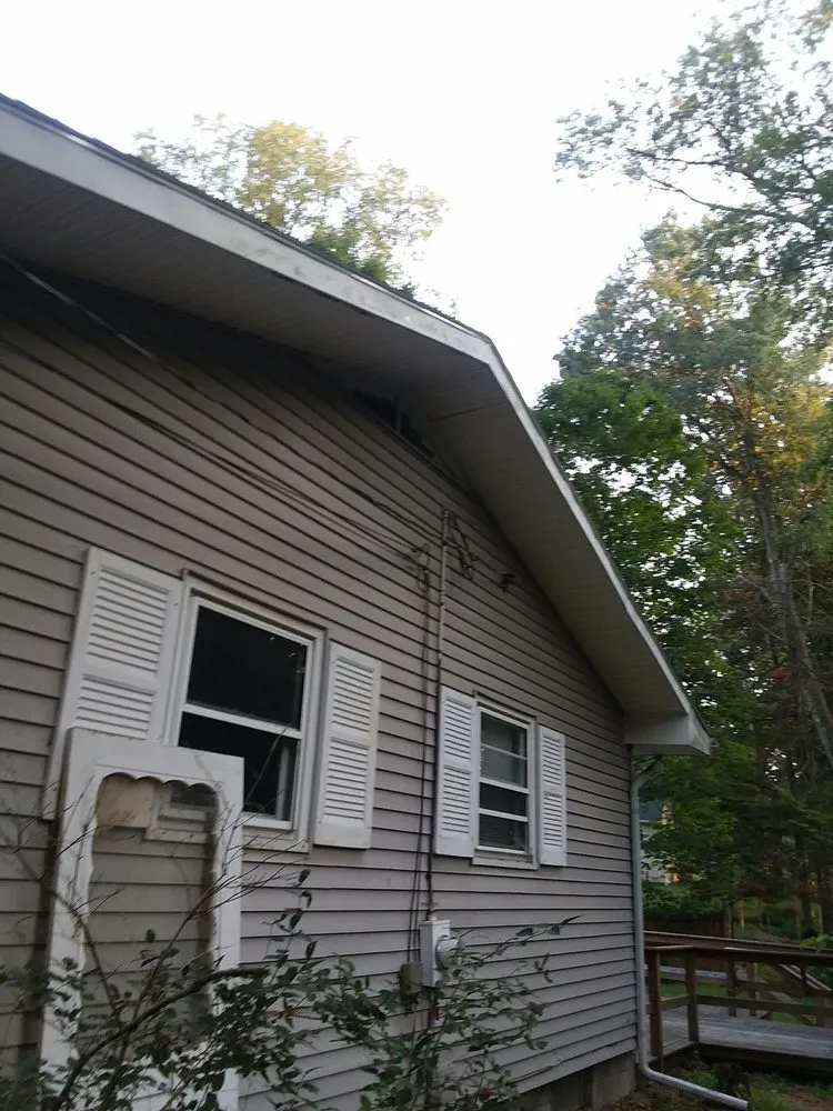 Slide of Australian Shepherd