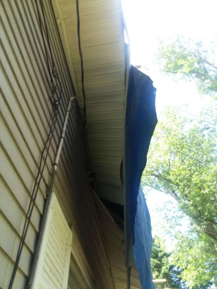 Slide of Australian Shepherd