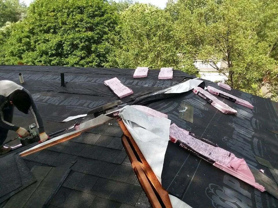 Slide of Australian Shepherd