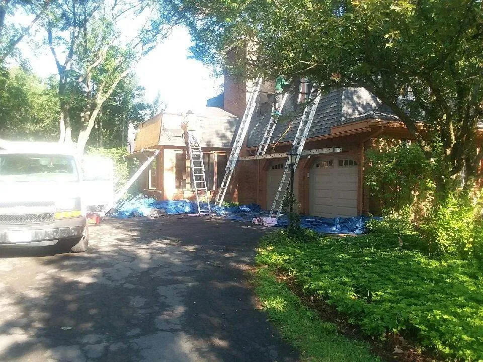 Slide of Australian Shepherd