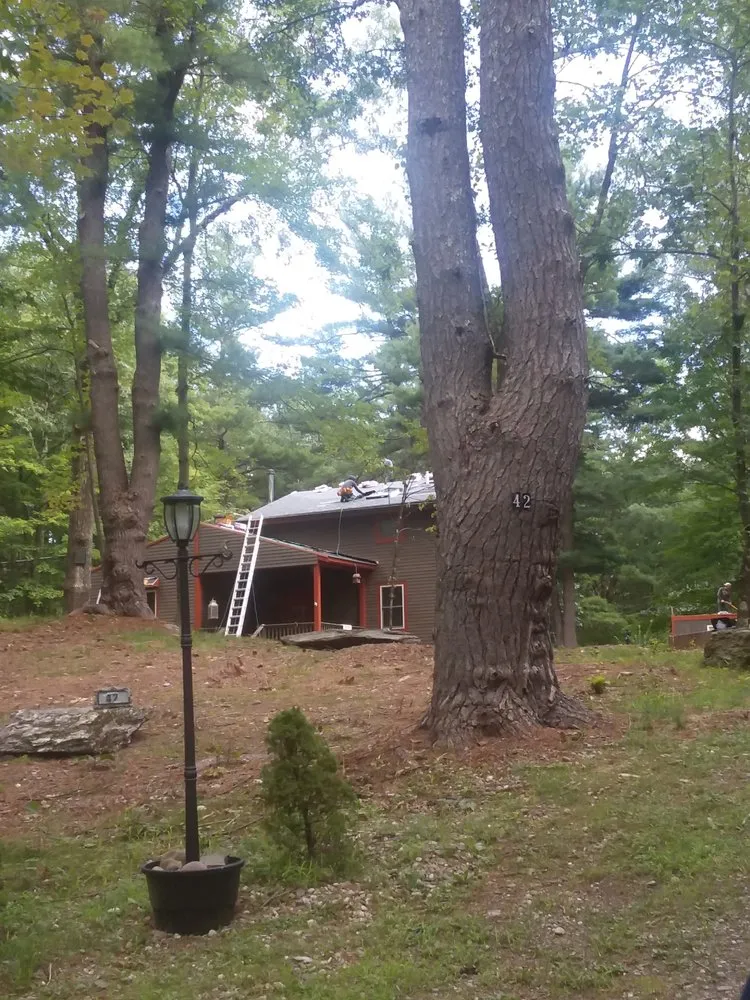 Slide of Australian Shepherd