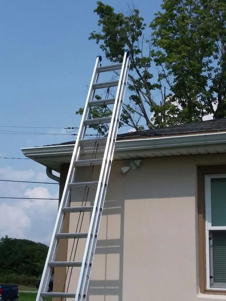 Slide of Australian Shepherd