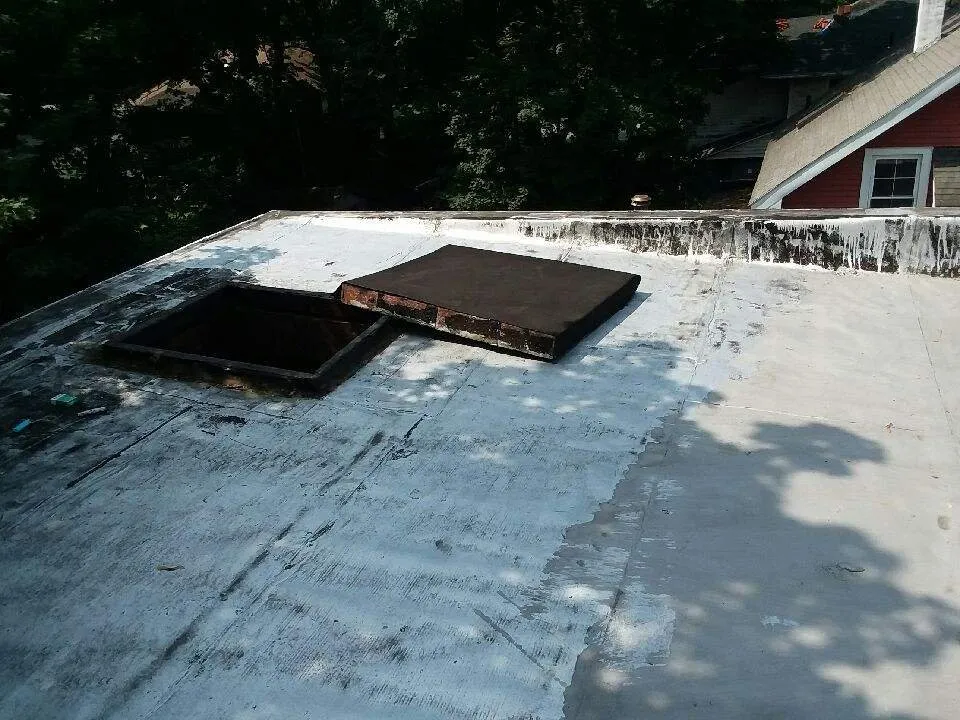 Slide of Australian Shepherd