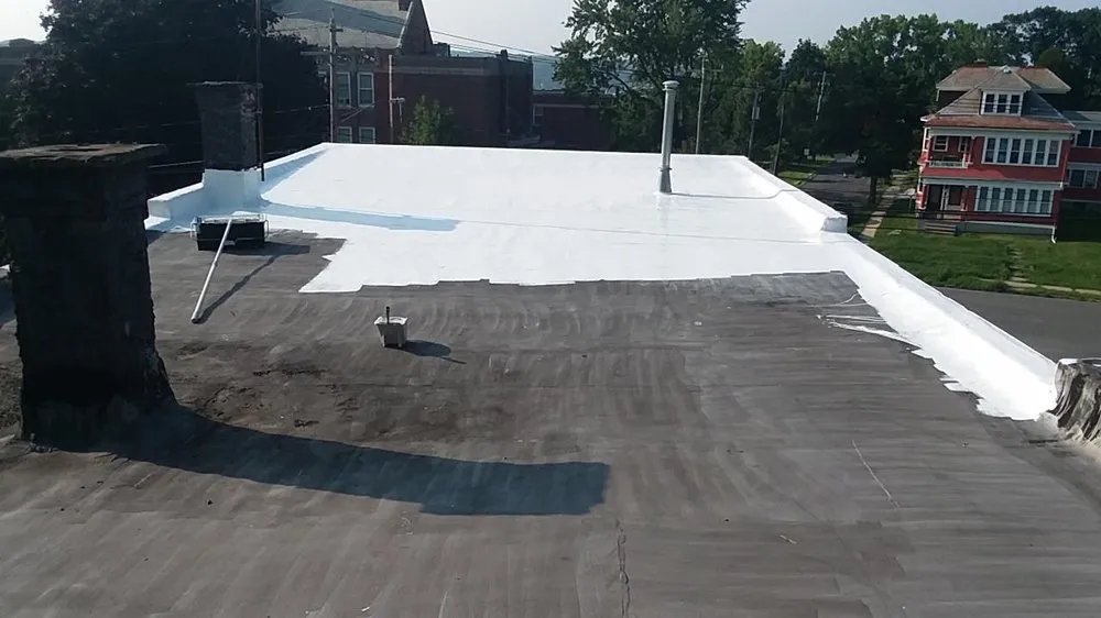 Slide of Australian Shepherd