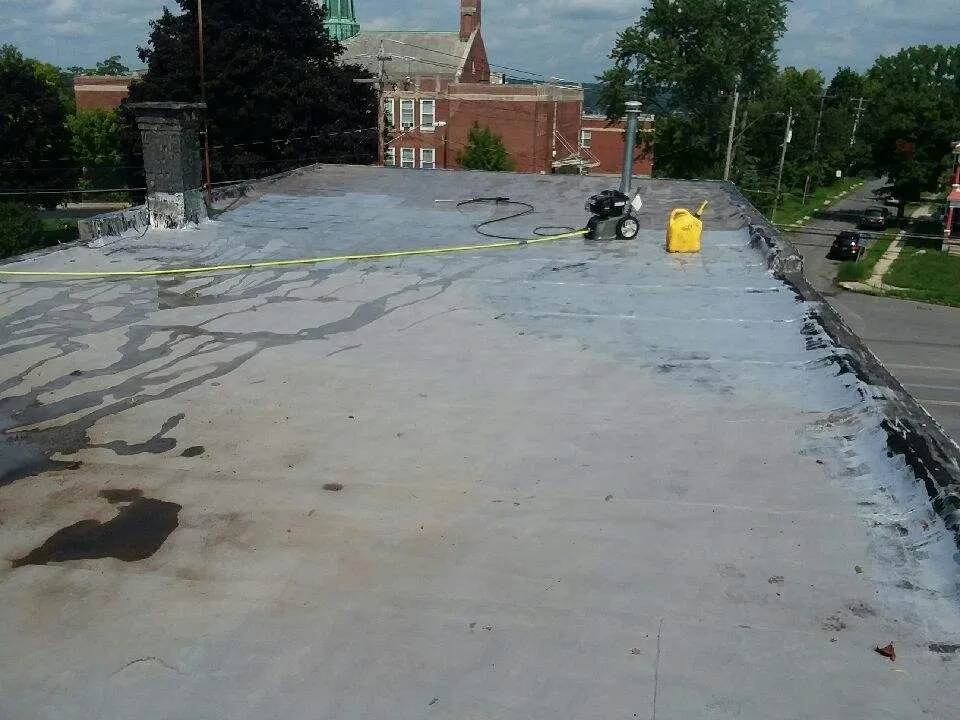 Slide of Australian Shepherd