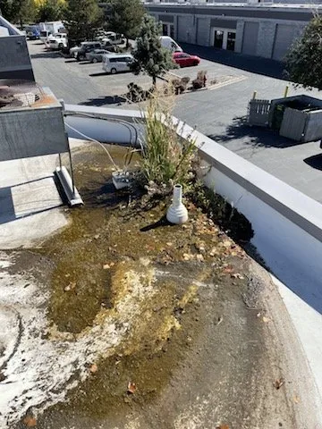 Slide of Authentic Roofing