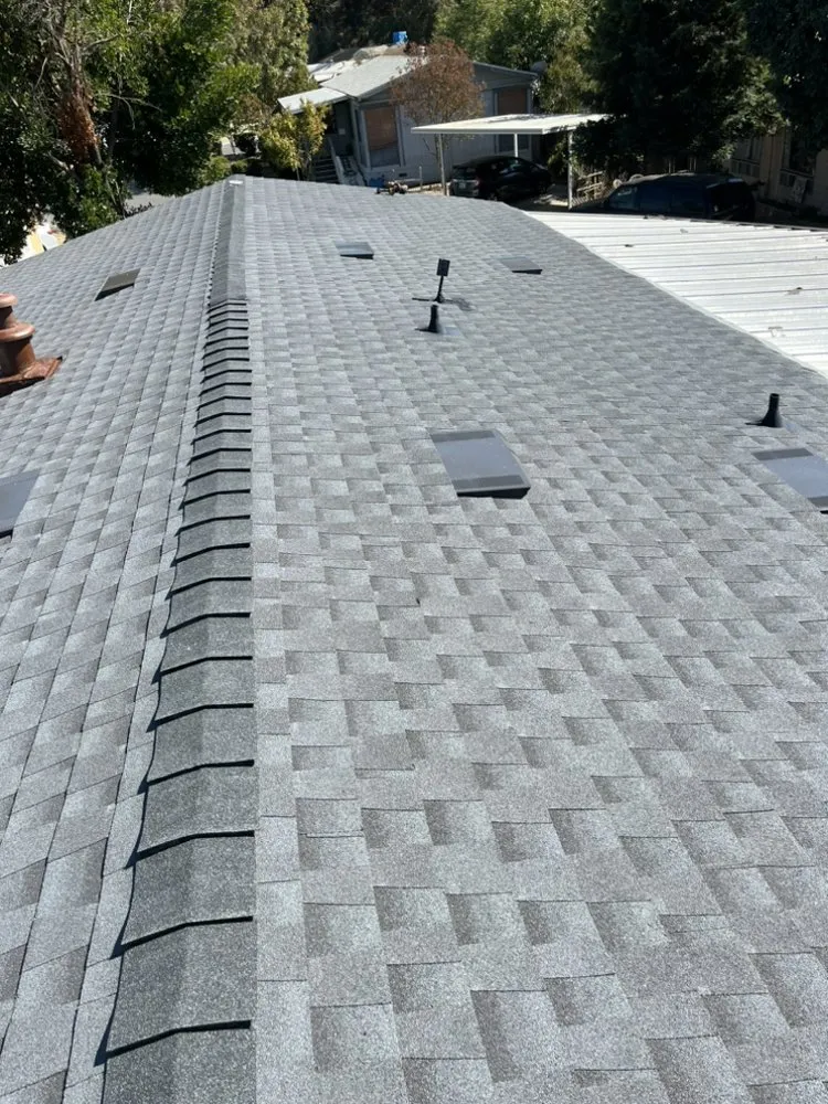 Slide of Authentic Roofs