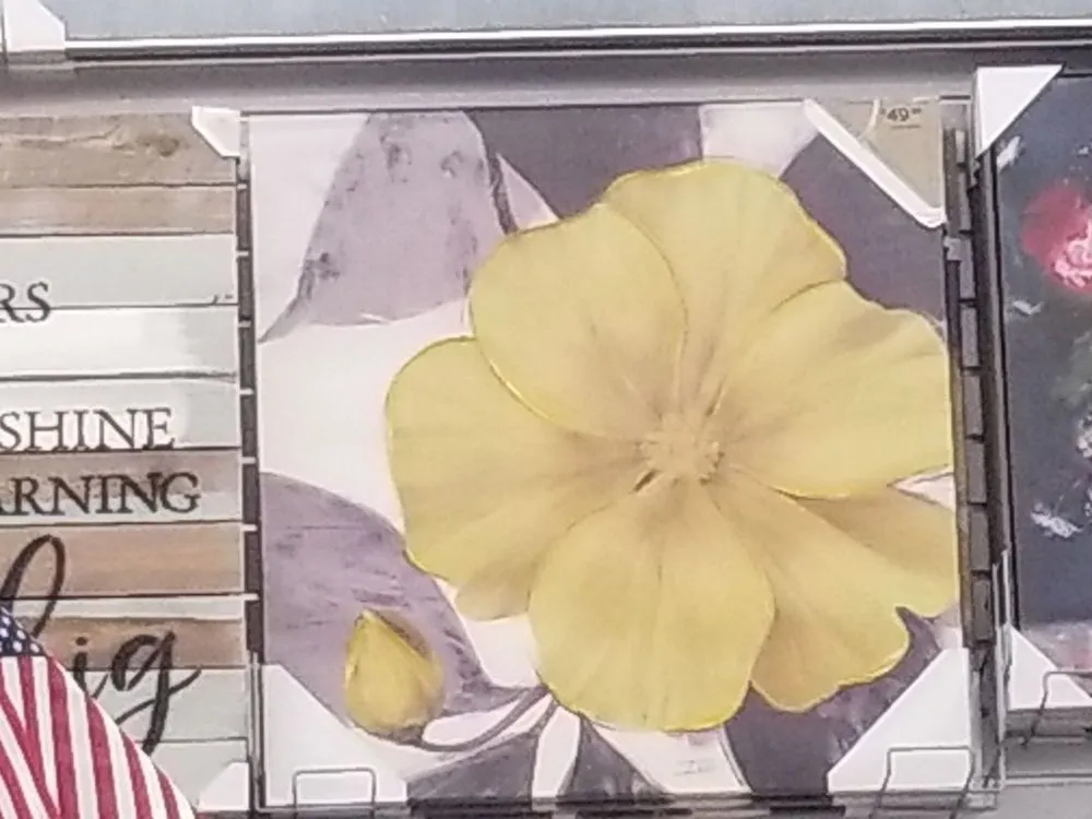 Slide of AV Remodeling