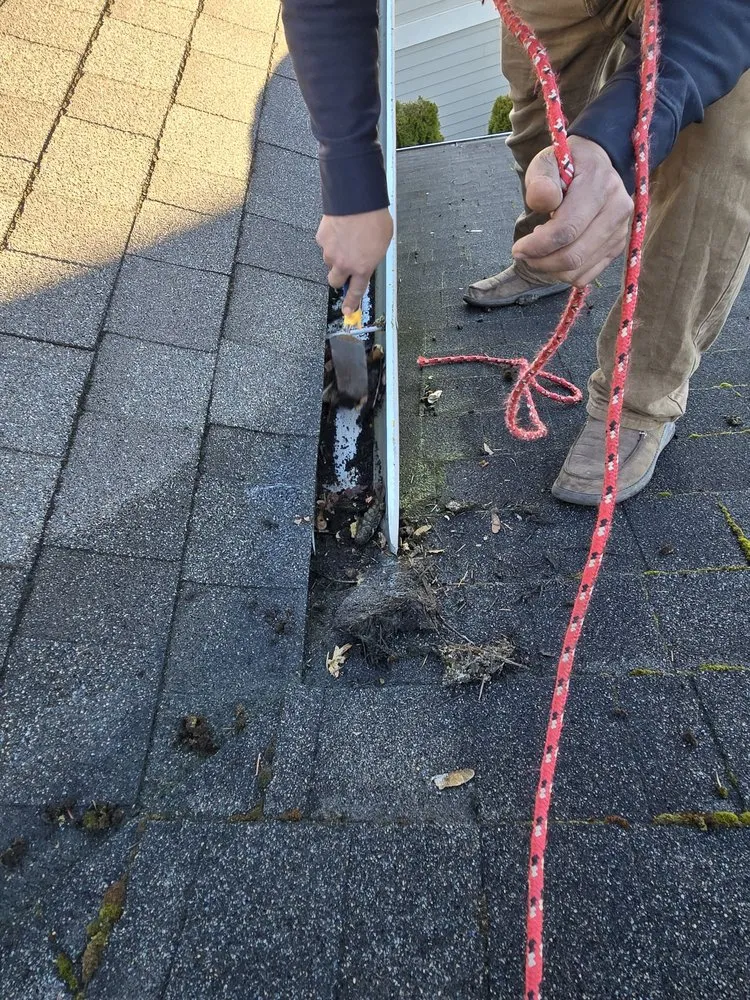 Slide of A.V RenewPressure & GreenScape Designs