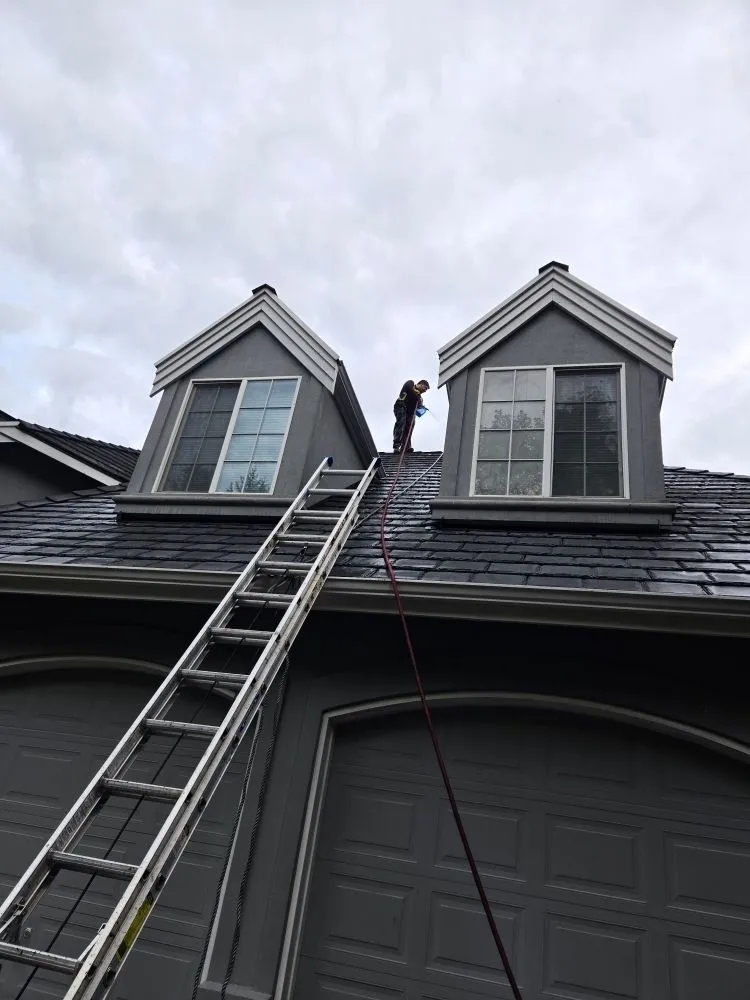 Slide of A.V RenewPressure & GreenScape Designs