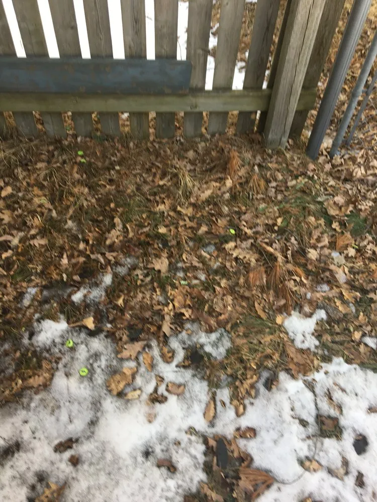 Slide of Avalon Roofing & Exteriors