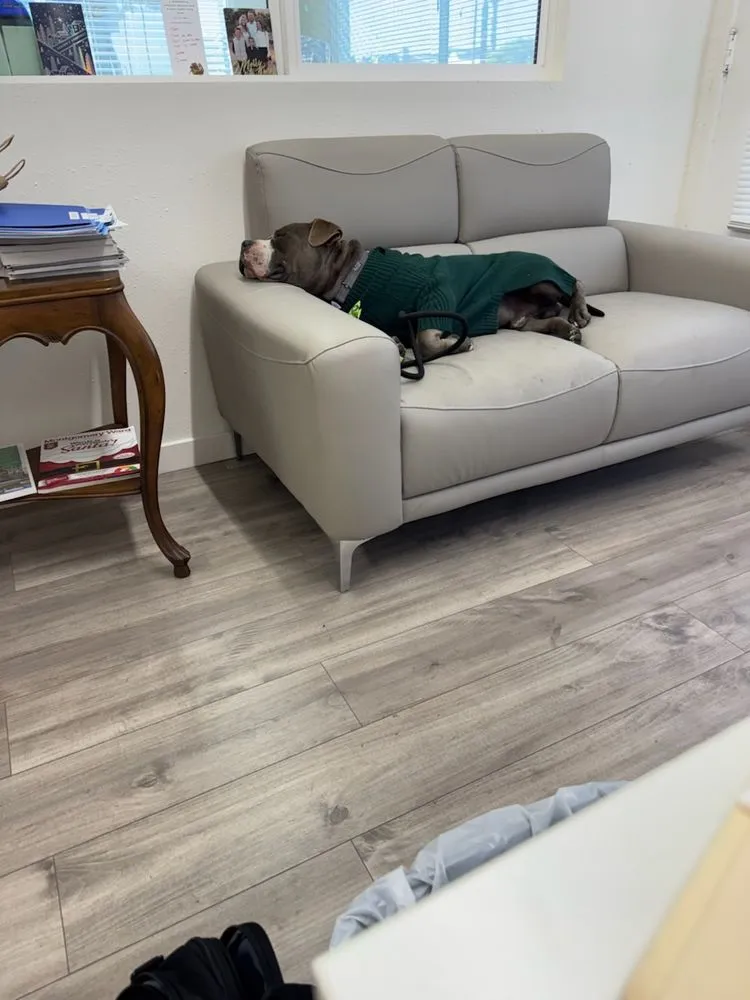 Slide of Avalon Roofing