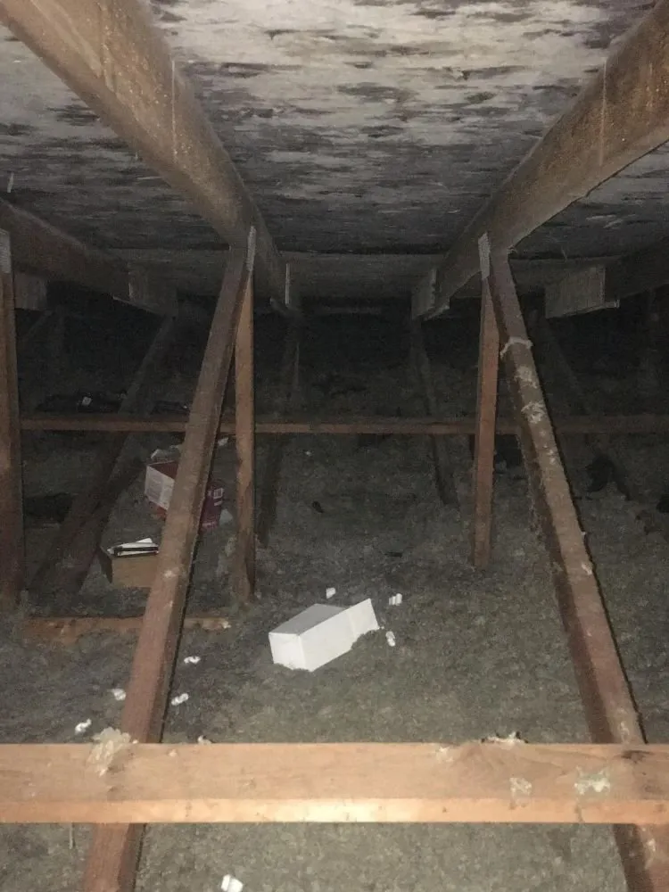 Slide of Avalos Roofing Construction