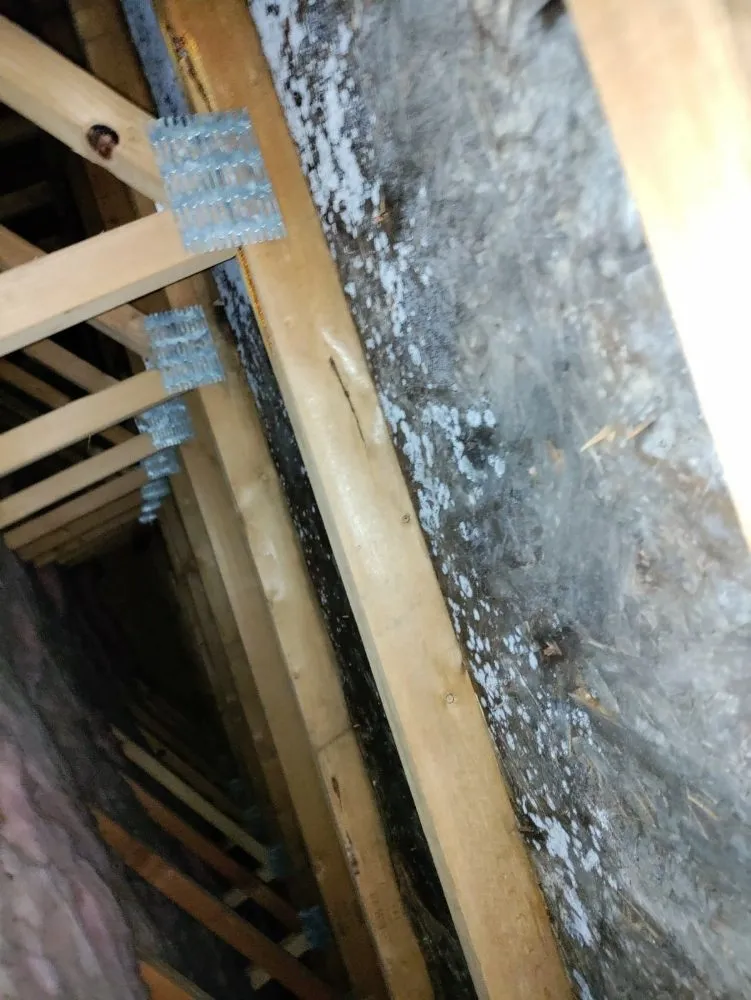 Slide of Avalos Roofing Construction