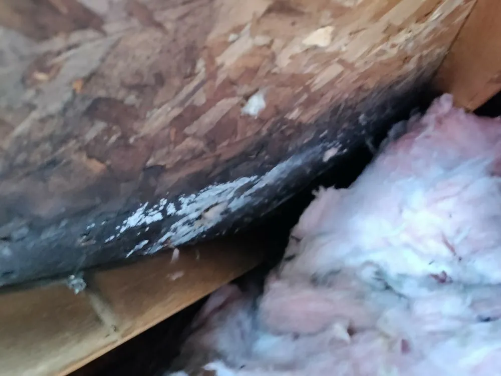 Slide of Avalos Roofing Construction