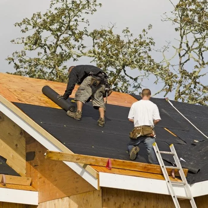 Slide of Avinas Builder