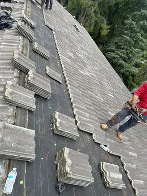 AVO Roofing Services