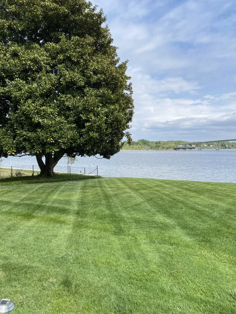 Slide of AXC Landscaping Services