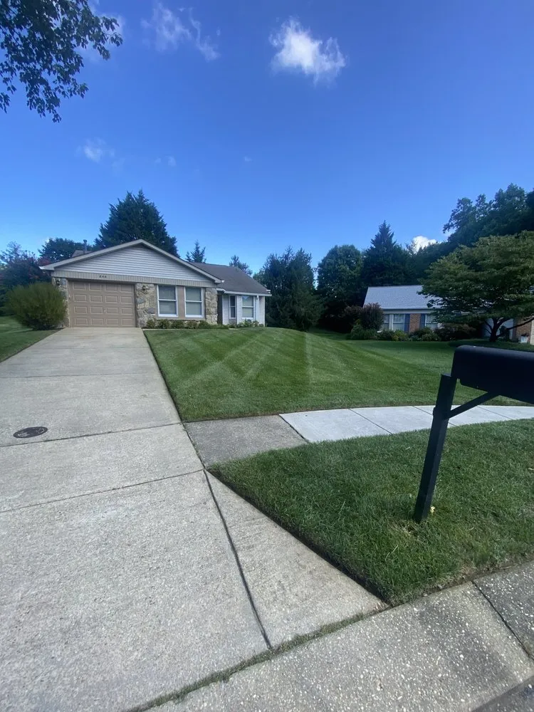 Slide of AXC Landscaping Services