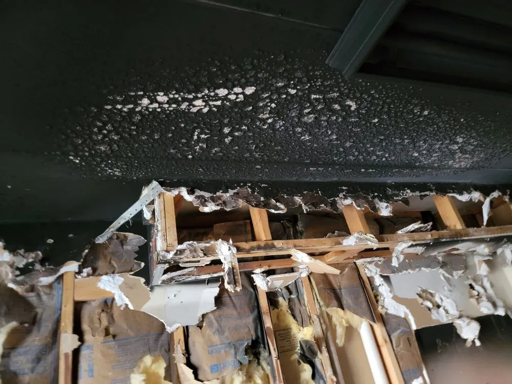 Slide of AXIOM Contractors