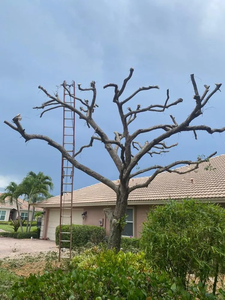 Slide of Axion Multi Services