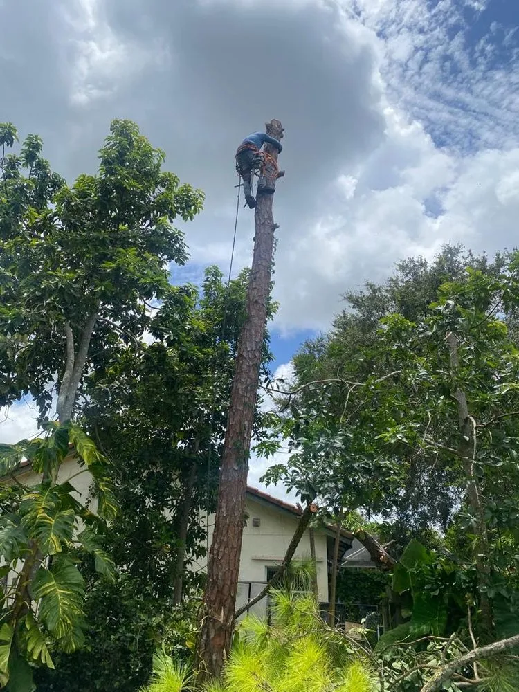 Slide of Axion Multi Services