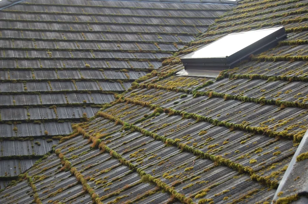 Slide of Axis Roof and Gutter