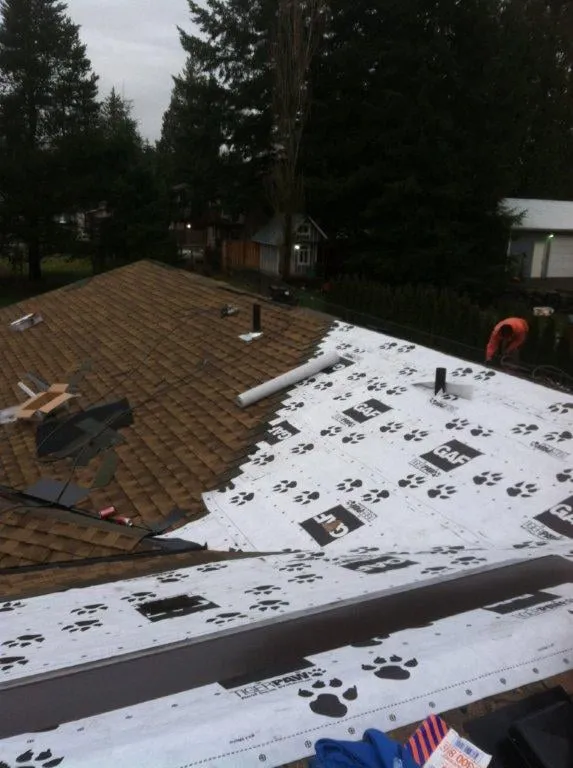 Slide of Axis Roof and Gutter