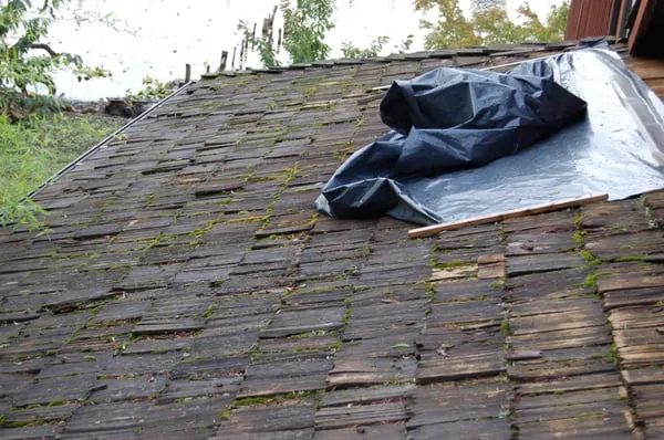 Axis Roof and Gutter