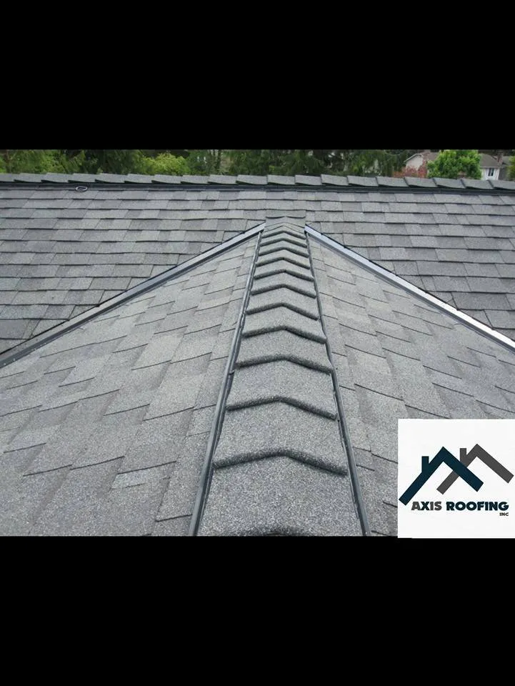 Slide of Axis Roofing